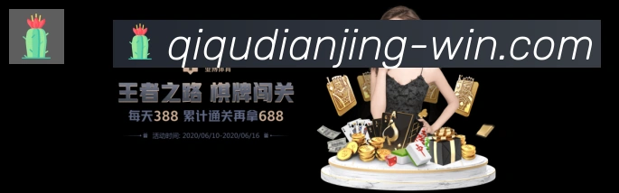未来规划